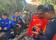 Pemancing Hilang Diterkam Buaya di Sungai Kariangau, Tim SAR Balikpapan Lakukan Pencarian Intensif