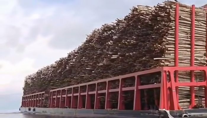 Viral Kapal Bermuatan Kayu Gelondongan Lewati Perairan Belitung Timur