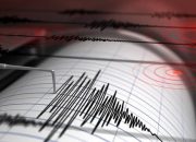 Warga Tarakan Panik, Gempa 4,8 SR Terasa Cukup Kuat di Beberapa Wilayah Kaltara