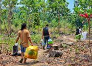 Usai Mediasi, Warga Tinggalkan Tahura Bukit Soeharto Secara Sukarela